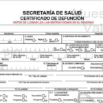 🕊️ Acta de defunción en línea: el paso a paso que nadie te explica (y que te evita hacer filas)