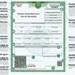 Recursos gráficos del acta de nacimiento